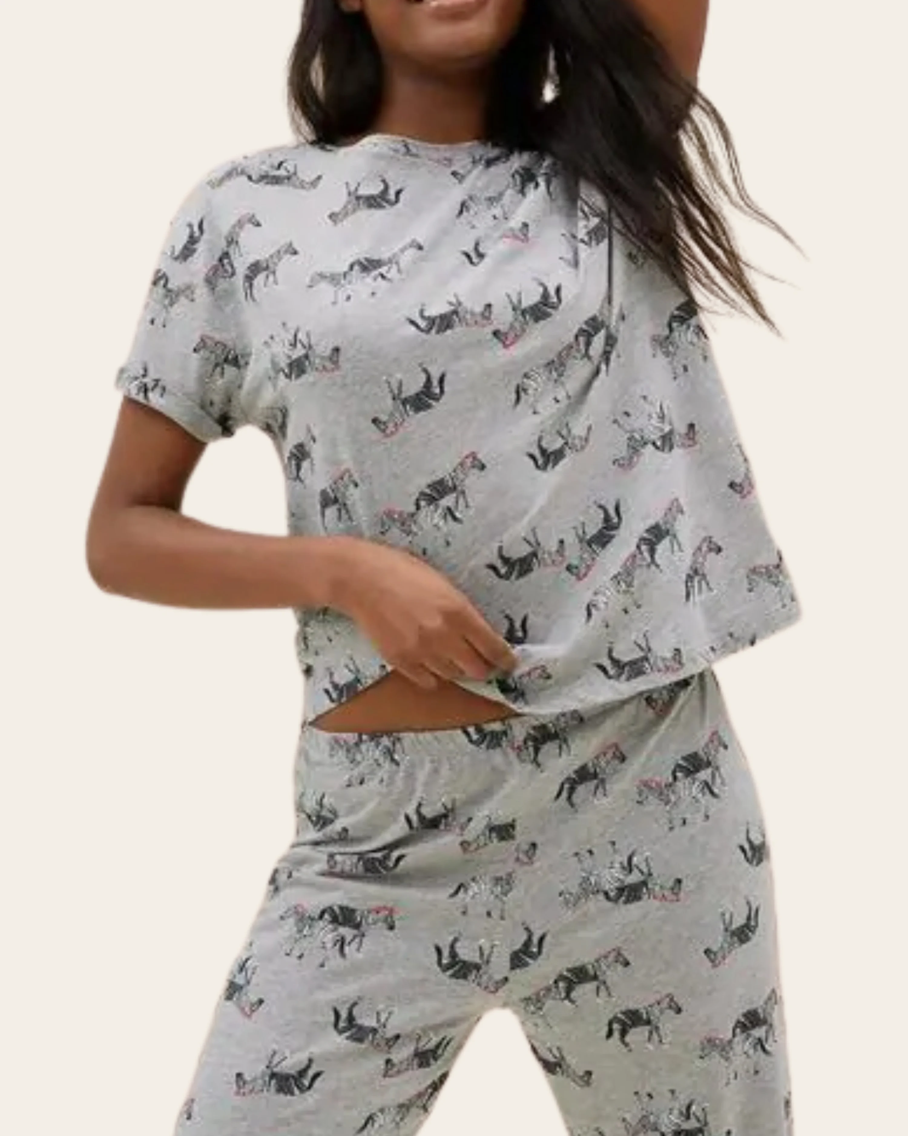 Zebra Tales Comfort Set