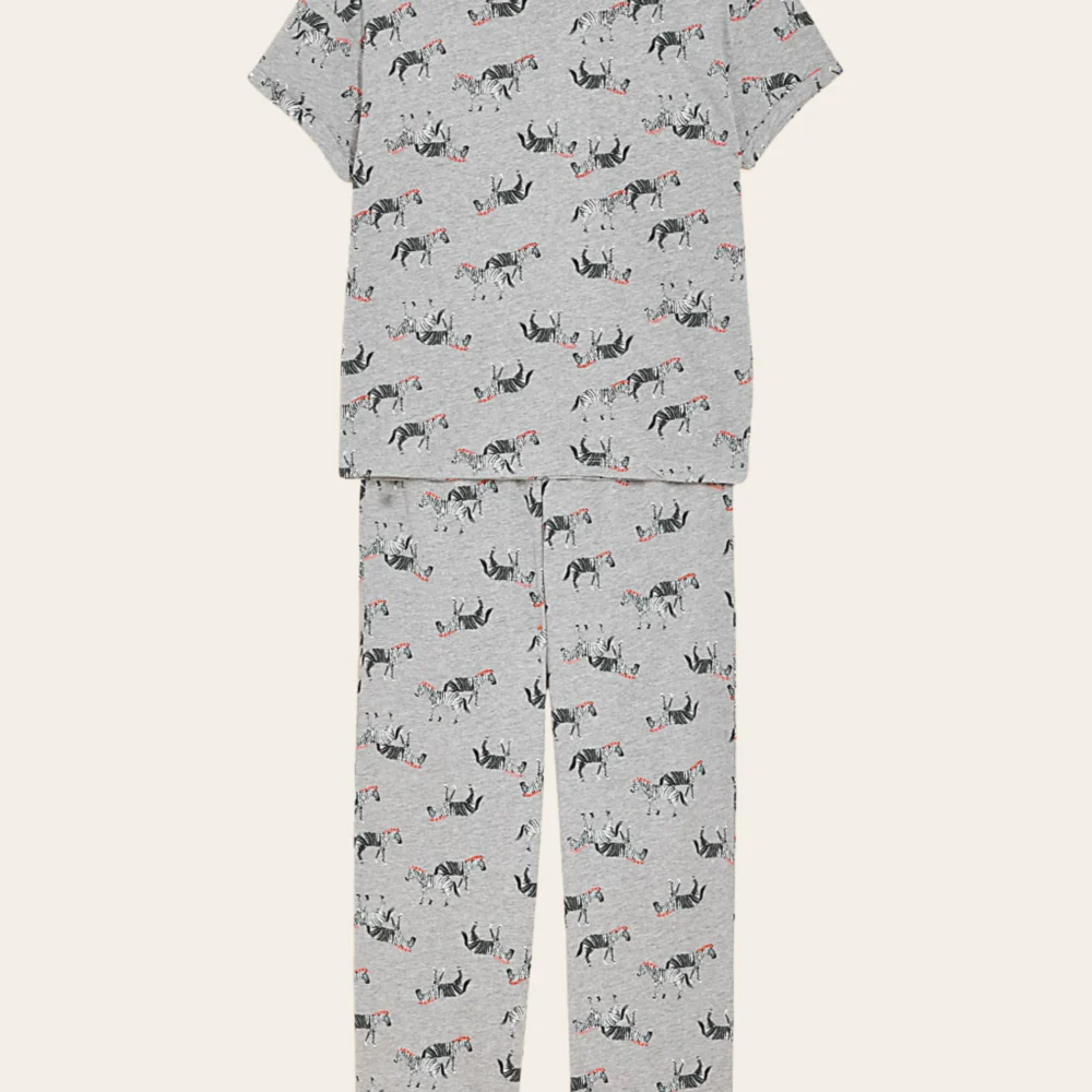 Zebra Tales Comfort Set