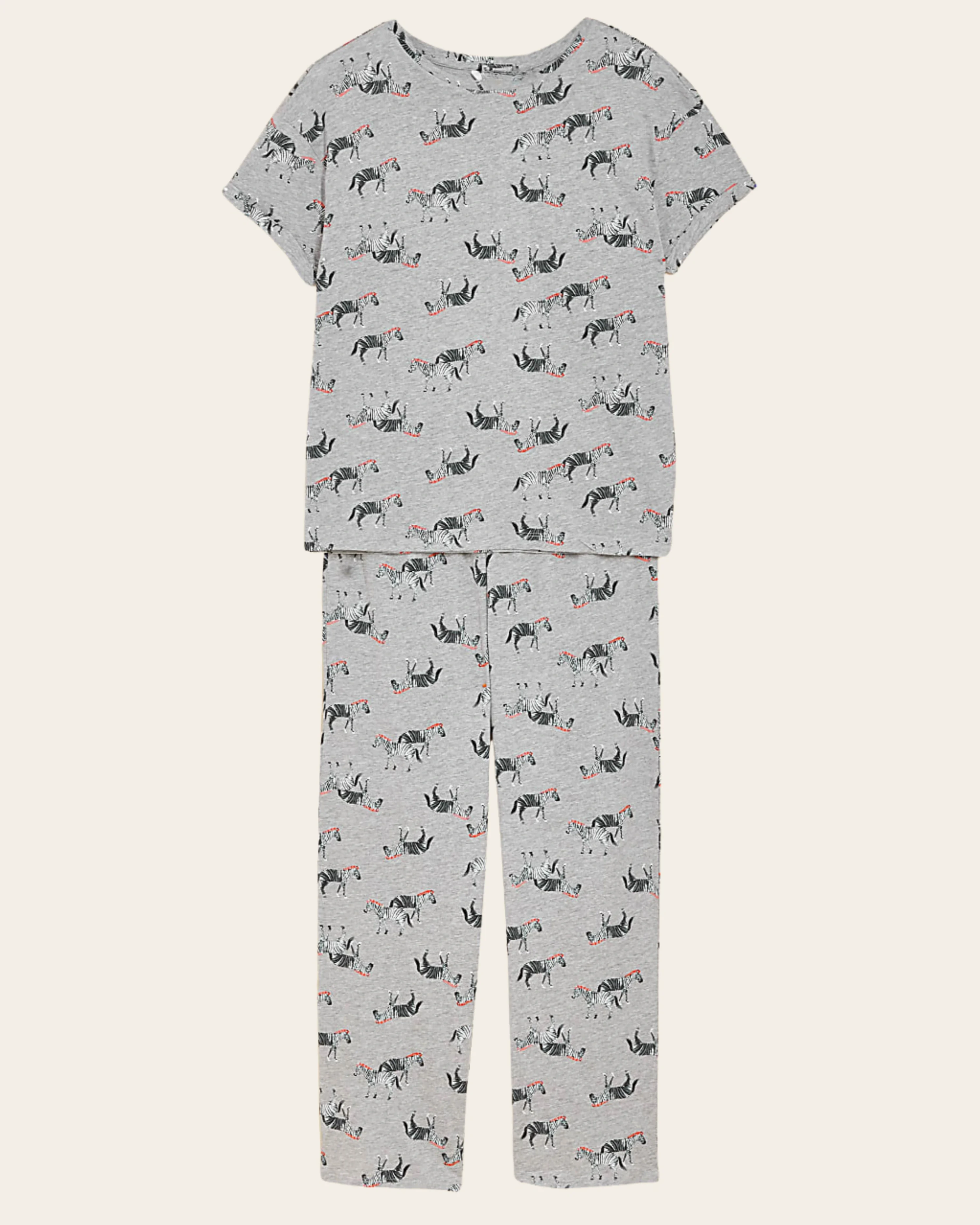 Zebra Tales Comfort Set