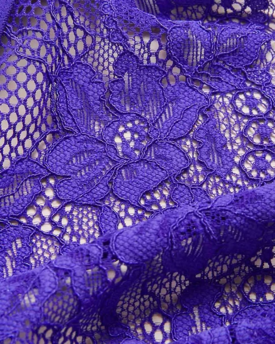 Violet Lace Bikini Brief